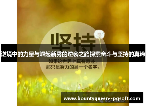 逆境中的力量与崛起新秀的逆袭之路探索奋斗与坚持的真谛