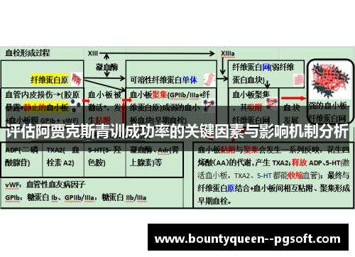 评估阿贾克斯青训成功率的关键因素与影响机制分析 评估阿贾克斯青训成功率的关键因素与影响机制分析